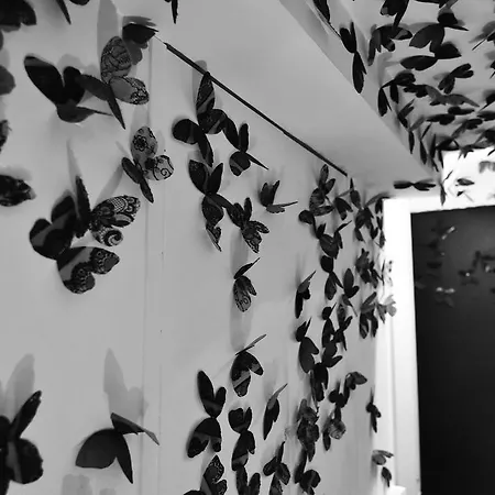 בית הארחה Charming House Dd724 ונציה